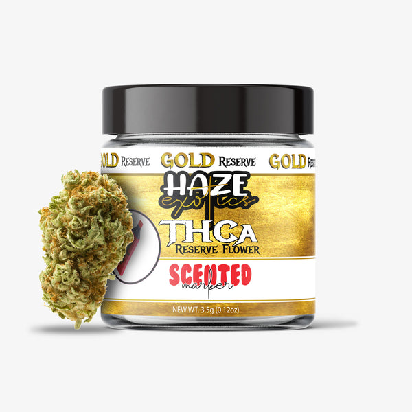 Jar of Haze Exotics Gold Reserve THCA flower with a cannabis bud on a white background