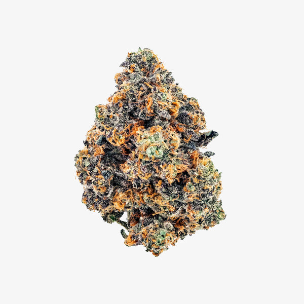 Dried cannabis bud on a white background