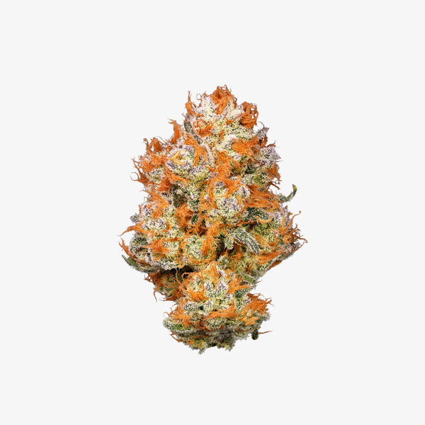 THC-A FLOWER  / PAPAYA BANG BANG / REVENGE