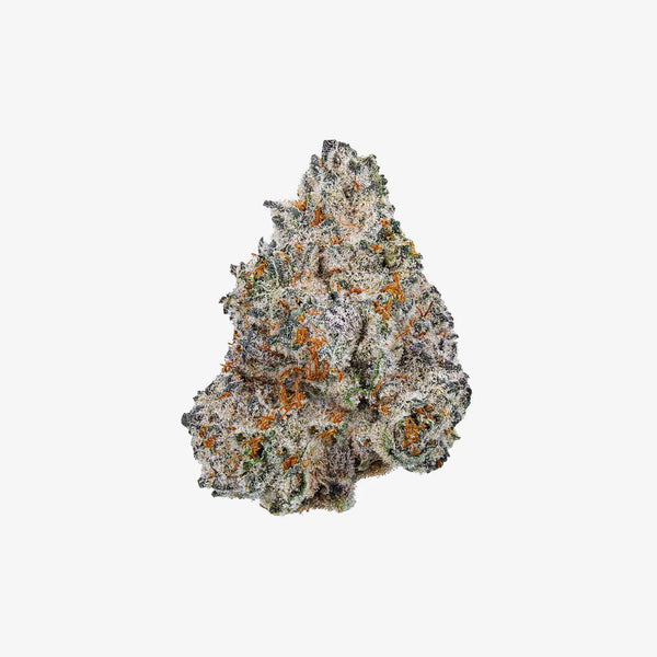 haze exotics thc-a flower white truffle 3.5 gram detail