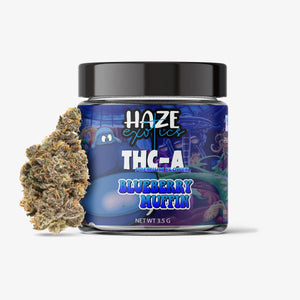 haze exotics thc-a flower blueberry muffin 3.5g jar